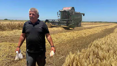 Ekmek fiyatlarındaki artışın faturası çiftçiye kesiliyor: 20 liralık üründe üreticinin payı sadece 5 lira