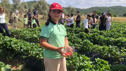 Toprağa dokunan eller geleceği inşa ediyor: Yatağan’da gençlerden bereketli hasat