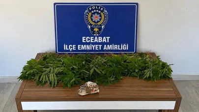 Çanakkale'de şafak operasyonu: Suçlulara göz açtırılmadı