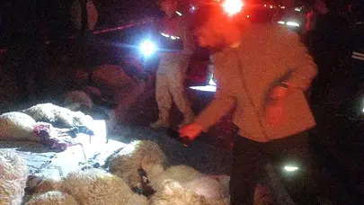 Gürpınar yolunda gece yarısı dehşeti: Sürüye dalan otomobil ortalığı savaş alanına çevirdi