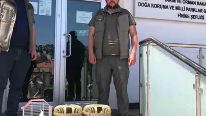Sosyal medya ihbarı operasyona dönüştü: Kafesteki kuşlar özgürlüğüne kavuştu
