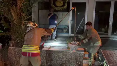Hatay’da korku dolu anlar: Bahçede beliren davetsiz misafir paniğe neden oldu