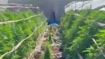 Sera görünümlü zehir yuvasına şafak baskını: Cephanelik gibi evden 6 tutuklama çıktı