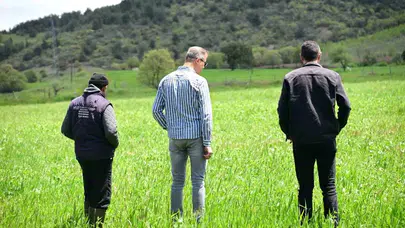 Manisa'da çiftçinin yüzü güldü: Büyükşehir'in tohum desteği tarlalarda berekete dönüştü