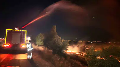 Hatay’da korkutan manzara: Anız ateşi zeytinlikleri küle çevirdi
