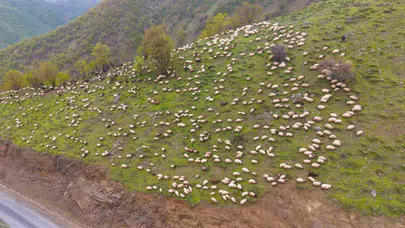 Muş’un çetin kışına inat: Besicilerin 8 günlük zorlu yayla göçü başladı