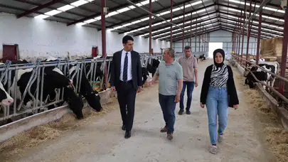 Beylikova’da hayvancılığın rotası çiziliyor: Kaymakam Kantilav’dan stratejik saha ziyareti