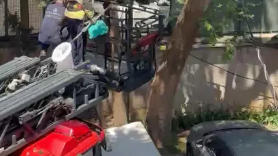 Kadıköy’de yürekleri ağza getiren bekleyiş: İtfaiye ekipleri minik dostu kurtarmak için seferber oldu