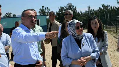 Sokak hayvanları için modern çözüm: Şarköy’de yeni yaşam alanı kapılarını açtı