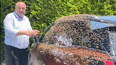 Otoparkta korku dolu anlar: Binlerce arı otomobili istila etti