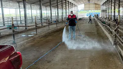 Kurban sonrası Havran'da alarm: Hayvan pazarı virüslere karşı arındırıldı
