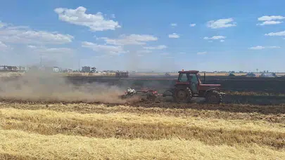 Hasat mevsiminde büyük şok: Kızıltepe'de emekler bir anda kül oldu