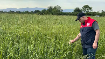 Tarlada hasat öncesi kritik mesai: Desteklerin adrese teslimi için düğmeye basıldı