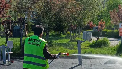 Bayburt’ta bahar temizliği: Kene tehdidine karşı kapsamlı önlem