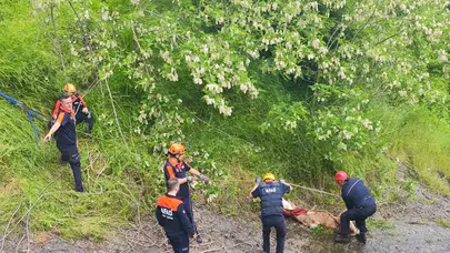 Ölümden döndüler: Samsun’da dere yatağında mahsur kalan düveler için nefes kesen operasyon