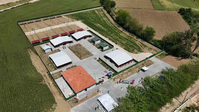 Sokak hayvanları için devrim niteliğinde adım: Yenişehir’de yaşam merkezi dönemi başladı