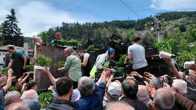 Mudurnu’da fide izdihamı: 126 bin fide dakikalar içinde tükendi