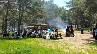 Bilecik’te ormanlar koruma altına alındı: Mangal ve semaver keyfine 5 ay mola