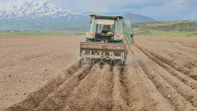 Toprak bereketini bekliyor: Adilcevaz’da 2026 sezonu fasulye mesaisi başladı