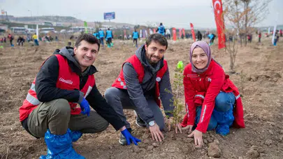 Bir damla kan binlerce fidan oldu: İyilik hareketi ormanları yeniden yeşertiyor