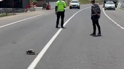 Erzurum’da trafik polisinden alkışlanacak hareket: Minik dostu için yolu kesti