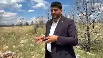 Araban’da orman yangınlarına karşı seferberlik çağrısı: Yol yoksa müdahale zor