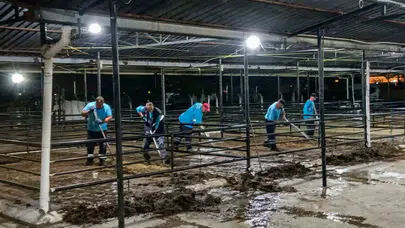Bayram sonrası Efeler'de hijyen mesaisi: Ekipler sahaya indi, kent pırıl pırıl oldu