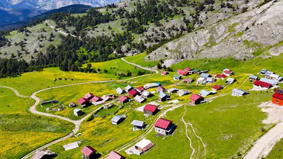 Gümüşhane’nin zirvesinde sarı çiçekli tablo: Doğanın kalbi Altınpınar’da atıyor