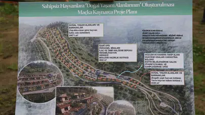 Trabzon’da sokak hayvanları için dev yatırım: 5 bin cana yuva olacak yaşam merkezi yükseliyor