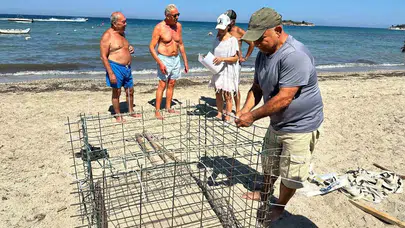 Didim sahillerinde gece mesaisi: Caretta carettalar için seferberlik ilan edildi
