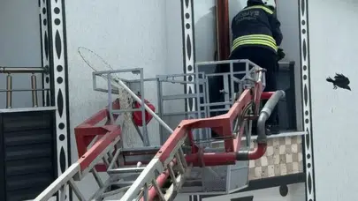 Balkonda mahsur kalan karganın imdadına itfaiye yetişti: Gökyüzüne böyle uğurlandı