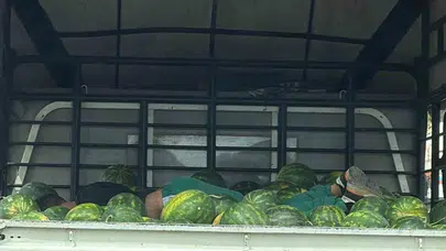 Adana sıcağına meydan okuyan yorgunluk: Karpuz kamyonunu yatağı yaptı