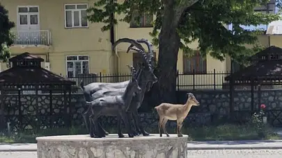 Tunceli’de doğa ile kent yaşamı iç içe: Heykellerin arasına karışan gerçek yaban keçisi şaşırttı