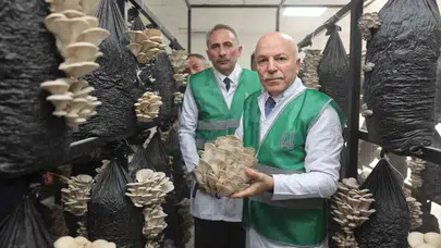 Erzurum'da tarımda yeni dönem: Atıl kaynaklar ekonomiye kazandırılıyor