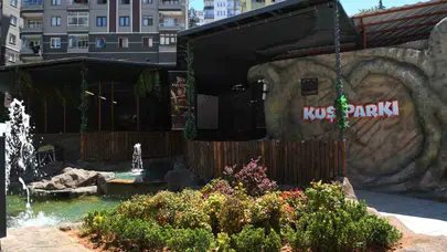 Trabzon’un yeni cazibe merkezi: 27 türün buluştuğu kuş cenneti kapılarını ardına kadar açtı