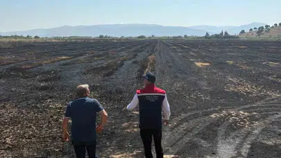 Söke’de alevler tarımı vurdu: İlçe müdürü sahaya indi, hasar raporu için düğmeye basıldı