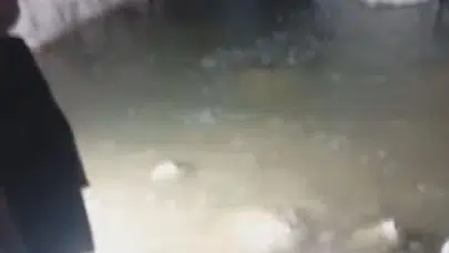 Serinlemek isterken canından oldu: Hatay'dan acı haber geldi