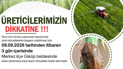 Hasat öncesi kritik uyarı: Kırklareli’nde süne tehlikesi kapıda