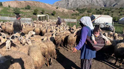 Kırsalda Bereket Projesi'nde geri sayım: Bakanlıktan kritik dolandırıcılık ikazı