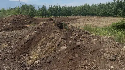 Kimyasal gübrede zam üstüne zam: Çiftçinin kurtarıcısı hayvansal gübre oldu