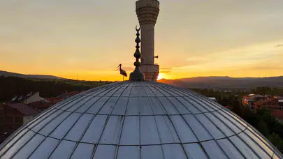 Kastamonu’da kartpostallık manzara: Leylekler gün batımında cami kubbesini mesken tuttu