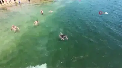 Erdek'te denizde boğulma tehlikesi geçiren vatandaş kurtarıldı