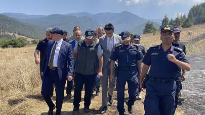 Osmaniye'de yangın rüzgarın etkisiyle ormana yayıldı