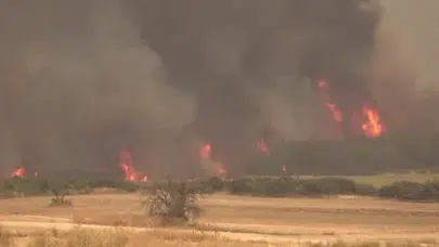 Çanakkale'de iki gün boyunca yangın riski uyarısı yapıldı