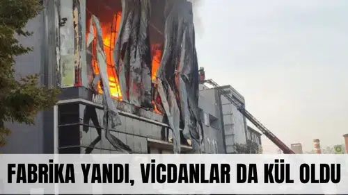 Dilovası’ndaki yangında kurban sayısı yükseliyor... İhmaller zinciri can almaya devam ediyor