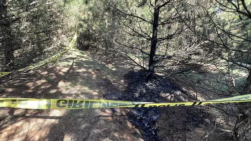 Gürcistan’da ölüm sessizliği! Ormanda Türk vatandaşına kanlı tuzak