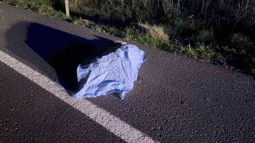 Gece yarısı yol kenarında hareketsiz bulundu: Gerçek çok geç anlaşıldı!