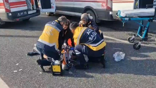 Asfaltta acı son! Yol verilmeyen canlar listesine bir isim daha eklendi...