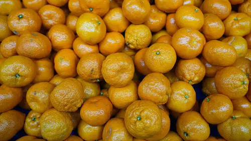 Türk mandalinası dünyayı fethetti... İhracatta tüm zamanların rekoru kırıldı!