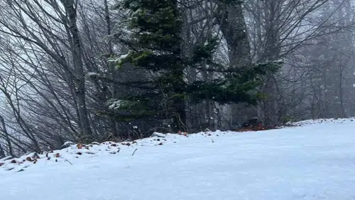 Kocaeli ve çevresinde kar etkisini artırdı: İstanbul için geri sayım başladı